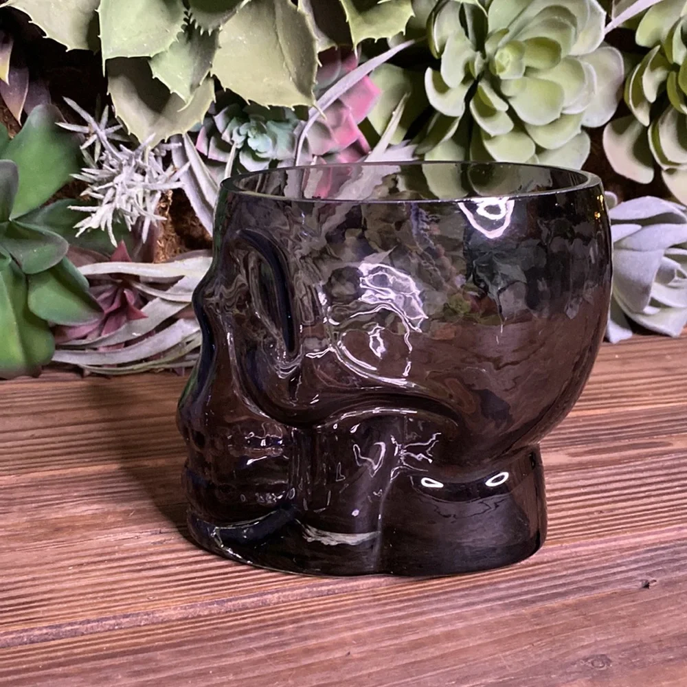 Pottery Barn Blown Soda Lime Glass Ombré Effect Large Skull Ice Bucket 💀 - Picture 5 of 16